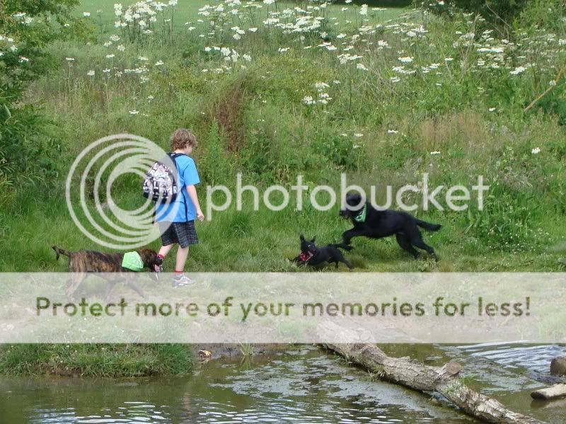 Mote Park Walk - Sunday 19th June 2011, 10 a.m. DSC09250