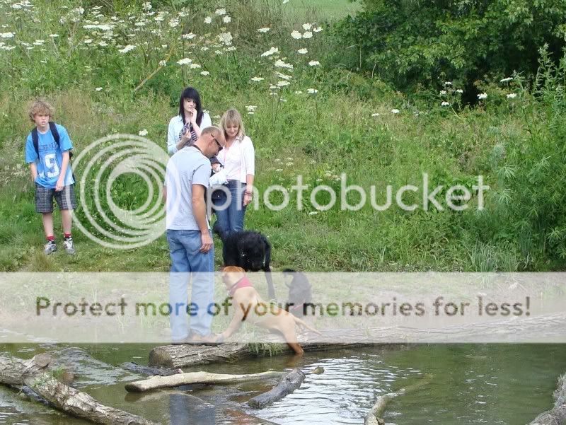 Mote Park Walk - Sunday 19th June 2011, 10 a.m. DSC09257