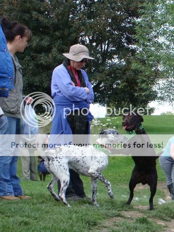 Mote Park Walk - Sunday 19th June 2011, 10 a.m. DSC09266