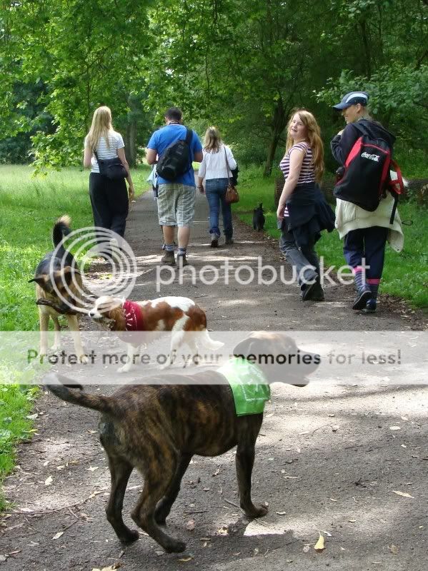 Mote Park Walk - Sunday 19th June 2011, 10 a.m. DSC09303