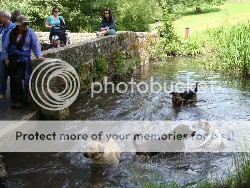 Mote Park Walk - Sunday 19th June 2011, 10 a.m. DSC09320