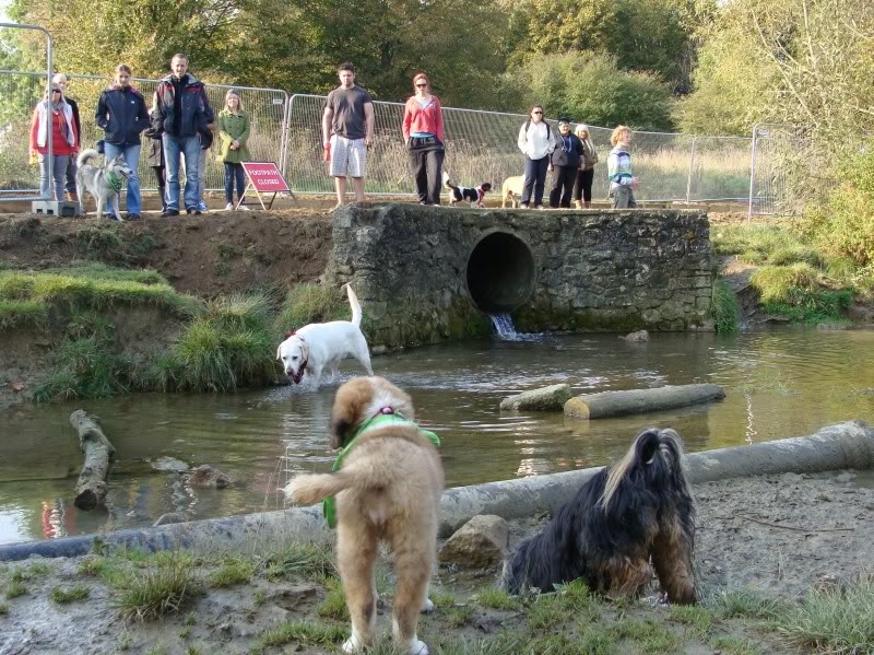 Mote Park Walk - 23 October 2011 - PHOTOS Mote-2011-10-2326