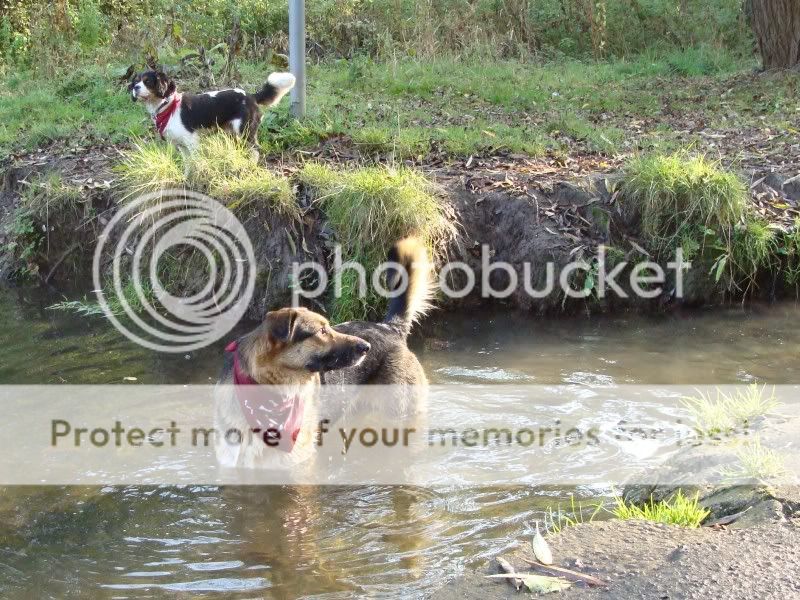 Mote Park Walk - 23 October 2011 - PHOTOS Mote-2011-10-2350