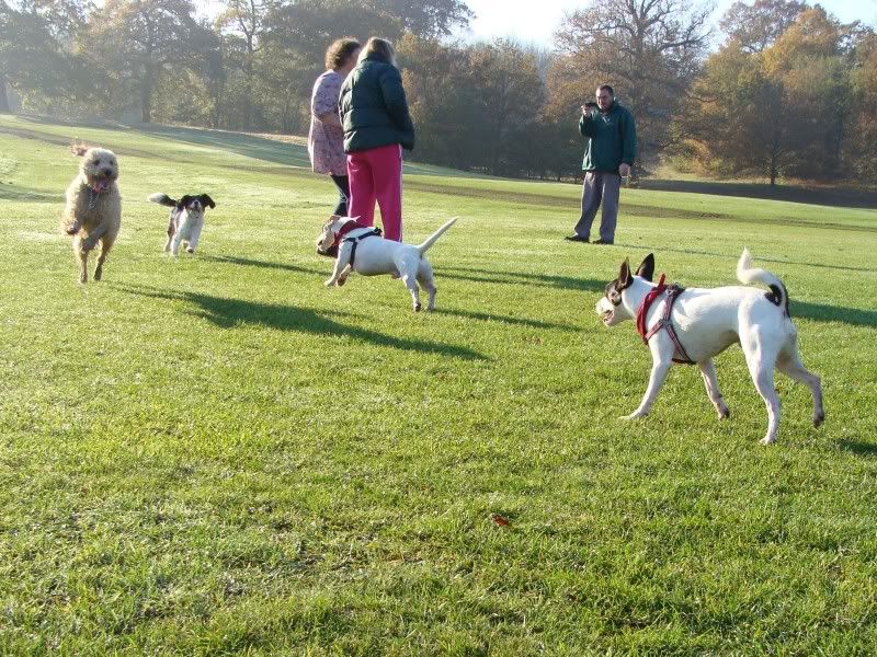 Mote Park Walk - Suday 20 November 2011 - PHOTOS Mote-2011-11-2012