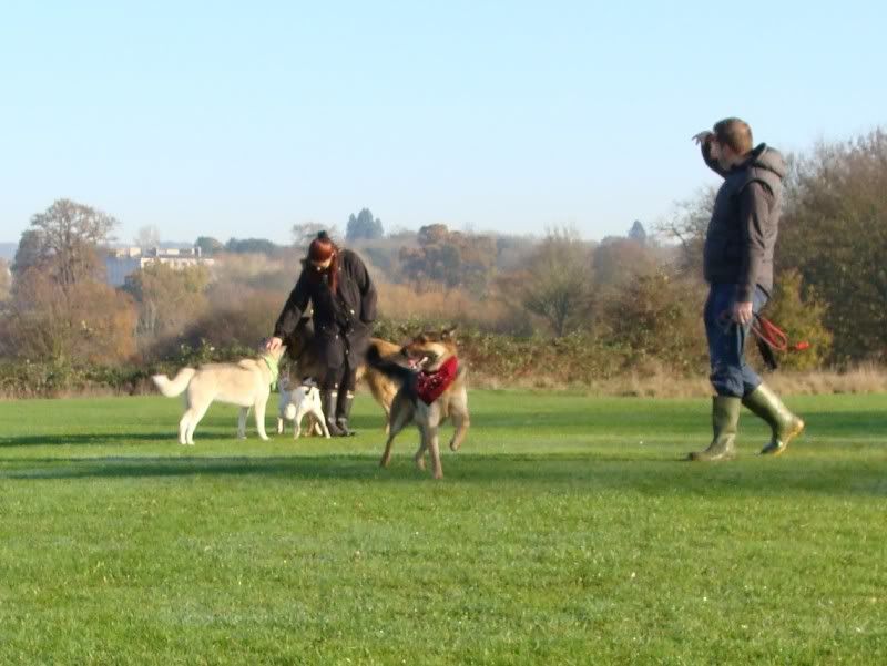 Mote Park Walk - Suday 20 November 2011 - PHOTOS Mote-2011-11-2015