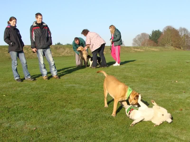 Mote Park Walk - Suday 20 November 2011 - PHOTOS Mote-2011-11-2020