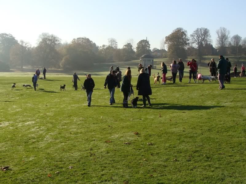 Mote Park Walk - Suday 20 November 2011 - PHOTOS Mote-2011-11-2023