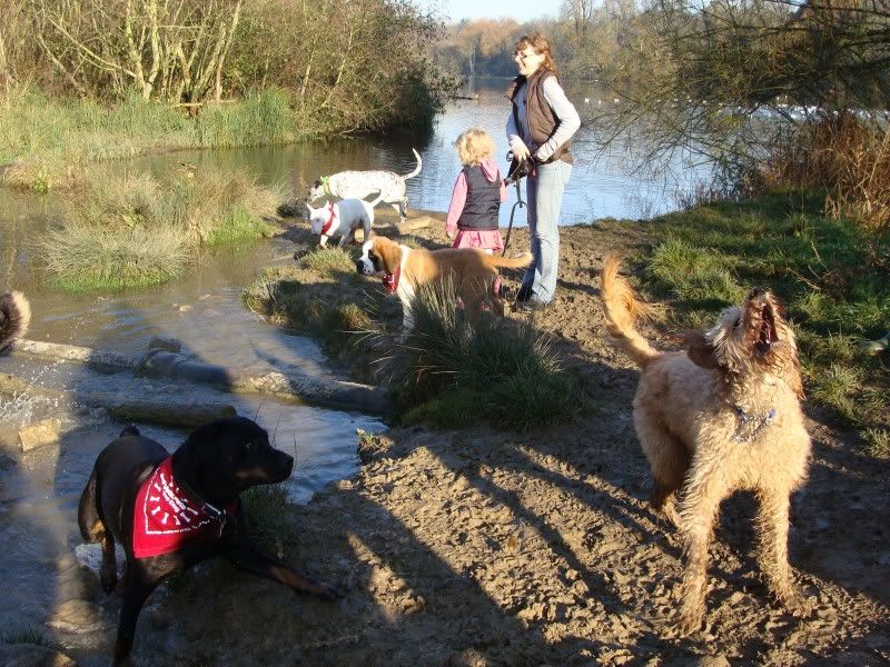 Mote Park Walk - Suday 20 November 2011 - PHOTOS Mote-2011-11-2037