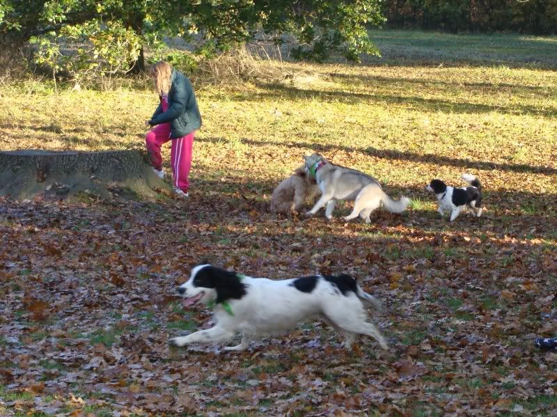 Mote Park Walk - Suday 20 November 2011 - PHOTOS Mote-2011-11-204