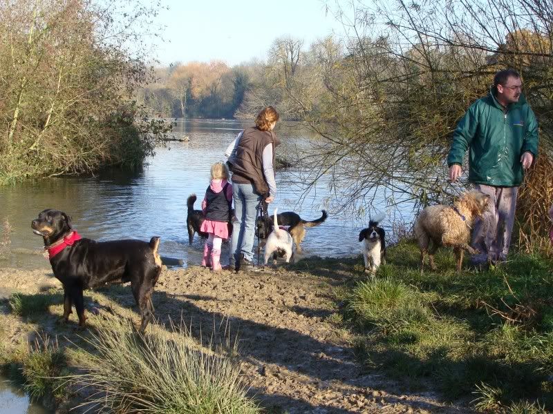 Mote Park Walk - Suday 20 November 2011 - PHOTOS Mote-2011-11-2047