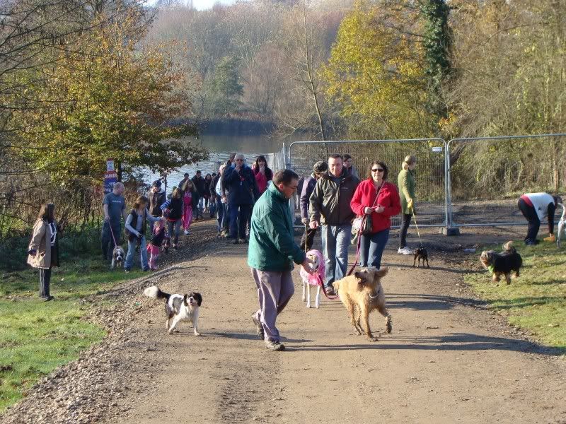 Mote Park Walk - Suday 20 November 2011 - PHOTOS Mote-2011-11-2054