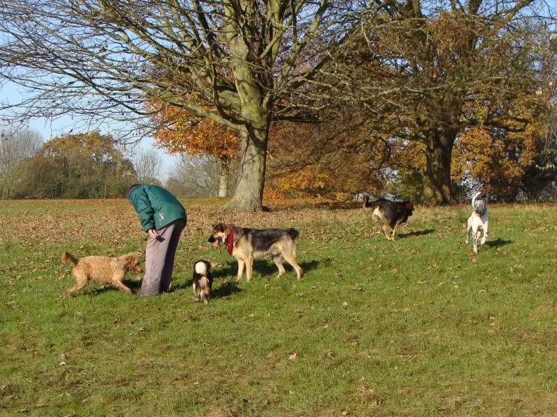 Mote Park Walk - Suday 20 November 2011 - PHOTOS Mote-2011-11-2056