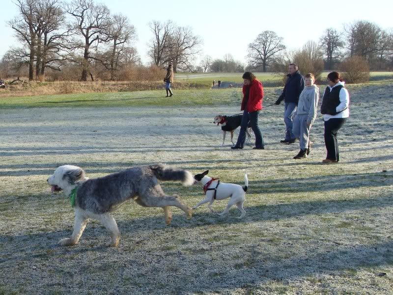 Mote Park Walk - 15 Jan 2012 - PHOTOS DSC02531