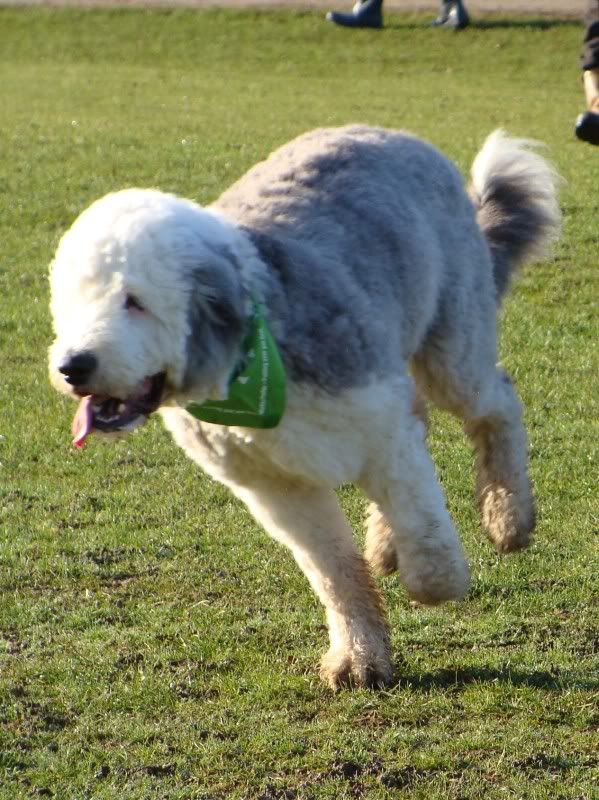 Mote Park Walk - 15 Jan 2012 - PHOTOS DSC02553