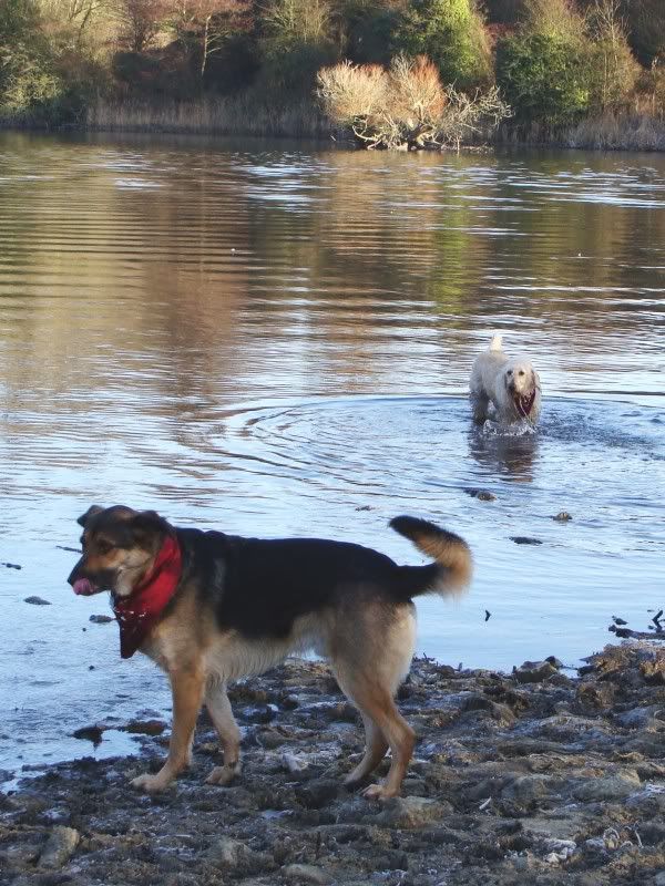 Mote Park Walk - 15 Jan 2012 - PHOTOS DSC02573