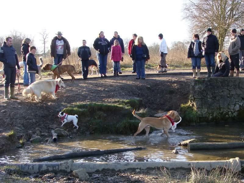 Mote Park Walk - 15 Jan 2012 - PHOTOS DSC02584