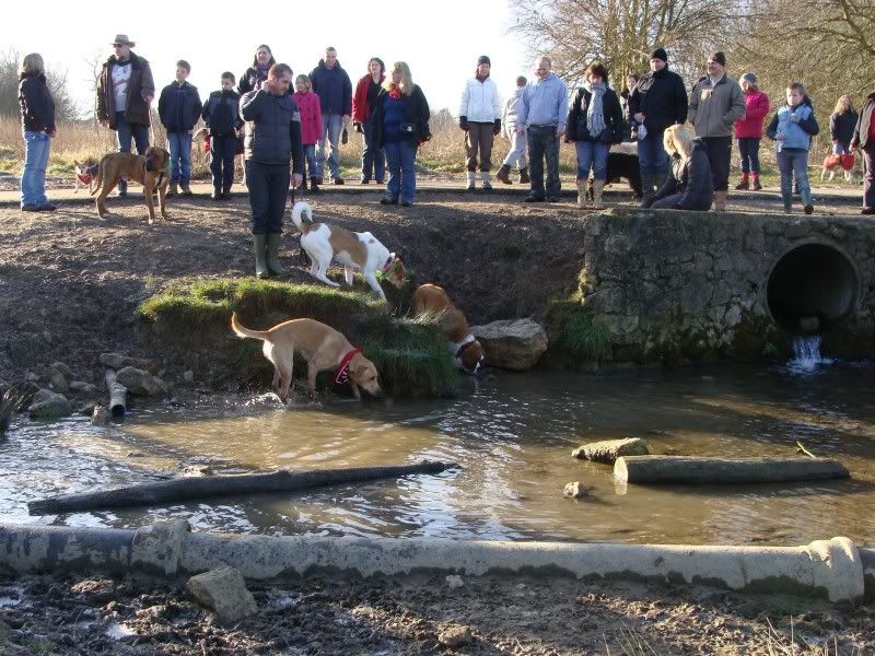 Mote Park Walk - 15 Jan 2012 - PHOTOS DSC02589