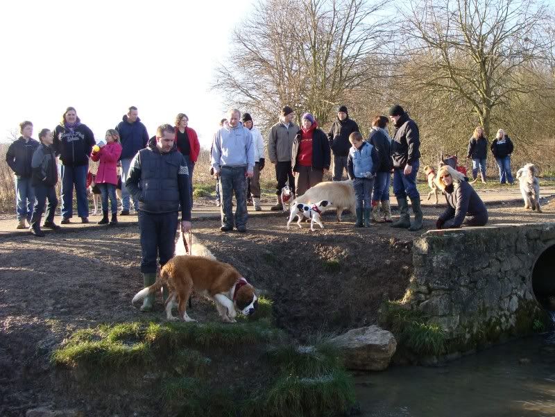 Mote Park Walk - 15 Jan 2012 - PHOTOS DSC02614