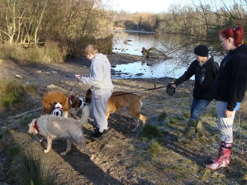 Mote Park Walk - 15 Jan 2012 - PHOTOS DSC02616