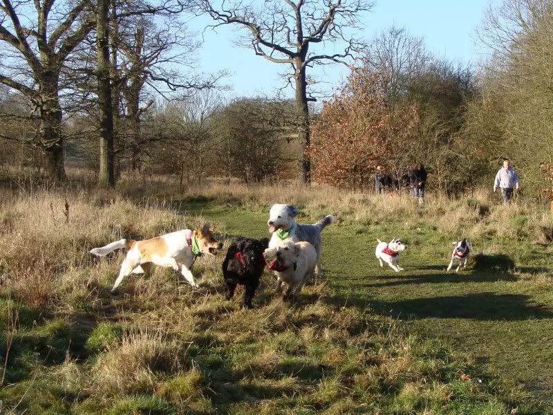 Mote Park Walk - 15 Jan 2012 - PHOTOS DSC02644