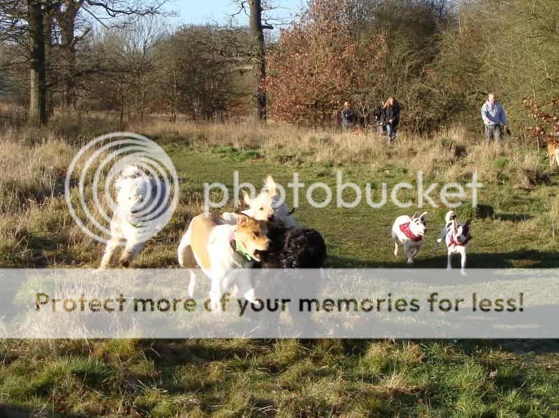 Mote Park Walk - 15 Jan 2012 - PHOTOS DSC02645