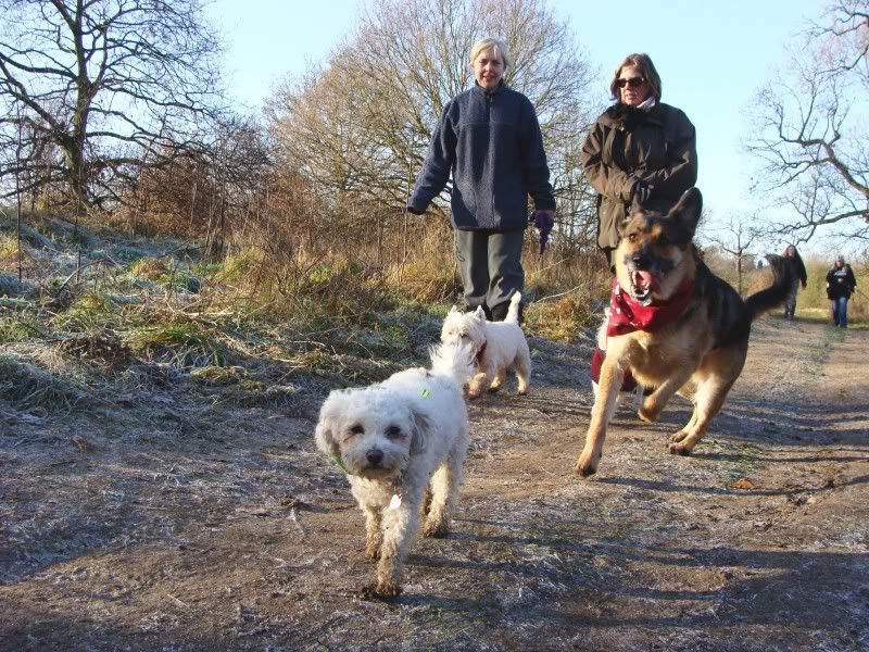 Mote Park Walk - 15 Jan 2012 - PHOTOS DSC02666