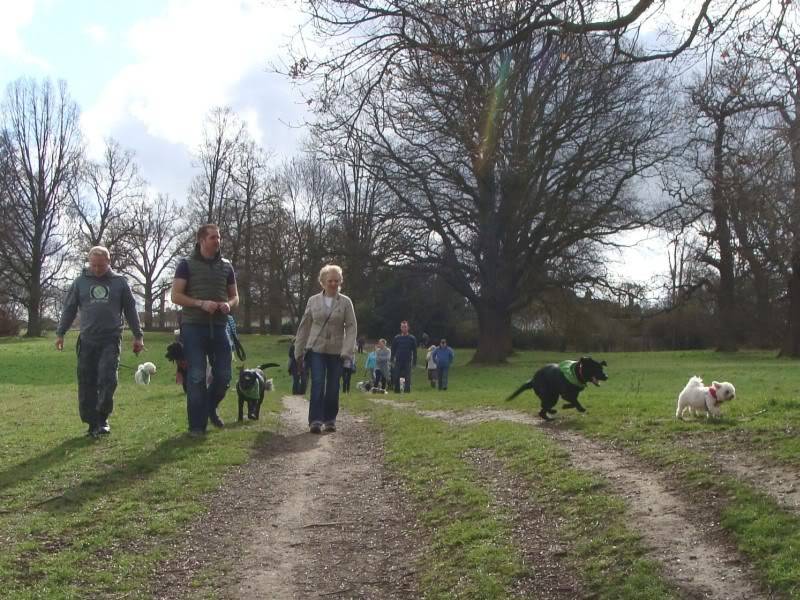 Mote Park Walk - 18 Mar 2012 - PHOTOS DSC03565