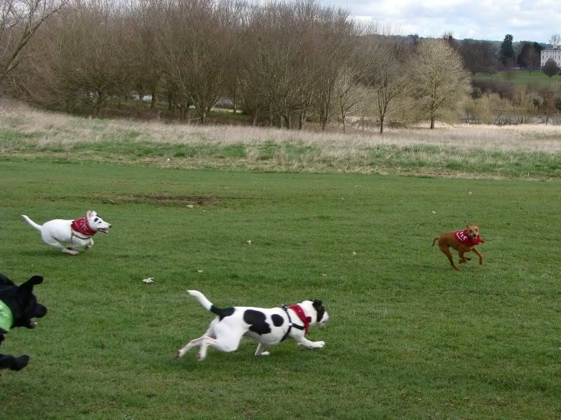 Mote Park Walk - 18 Mar 2012 - PHOTOS DSC03595