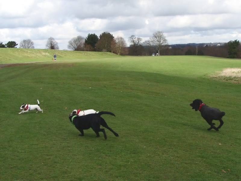 Mote Park Walk - 18 Mar 2012 - PHOTOS DSC03600