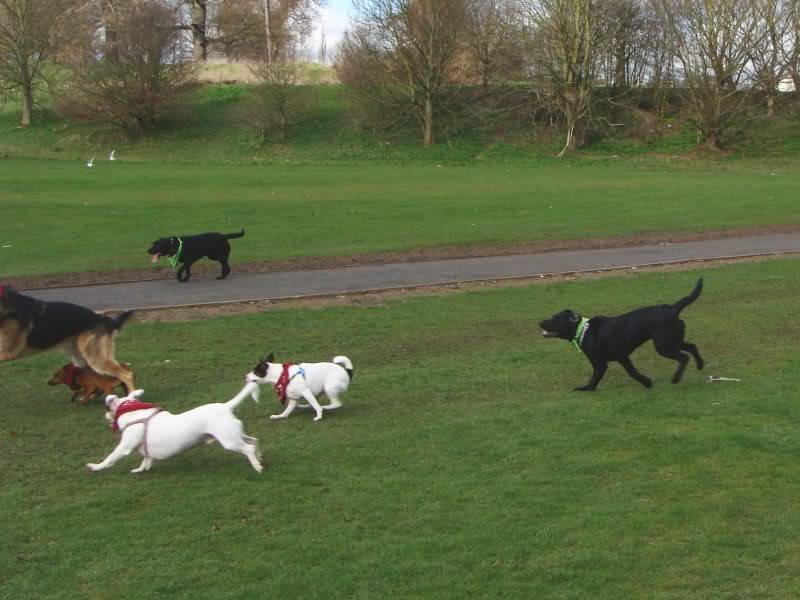 Mote Park Walk - 18 Mar 2012 - PHOTOS DSC03601