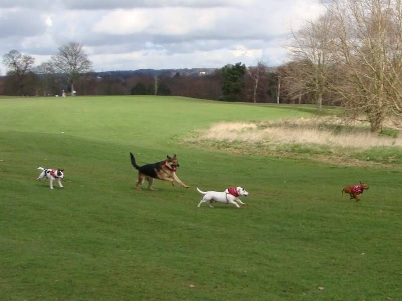 Mote Park Walk - 18 Mar 2012 - PHOTOS DSC03605