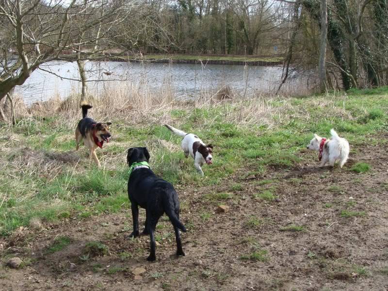 Mote Park Walk - 18 Mar 2012 - PHOTOS DSC03657