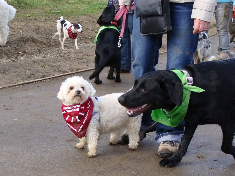 Mote Park Walk - 18 Mar 2012 - PHOTOS DSC03666