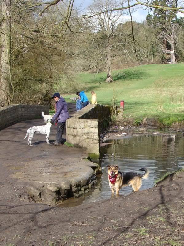 Mote Park Walk - 18 Mar 2012 - PHOTOS DSC03686