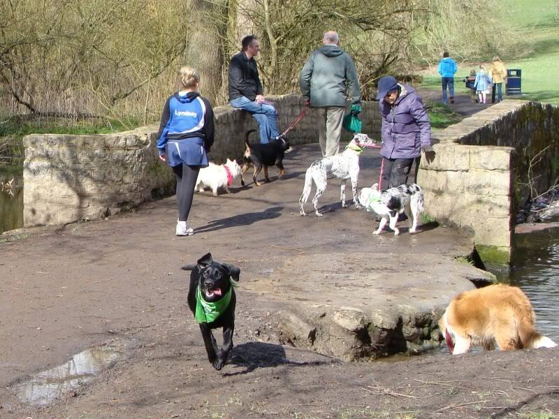 Mote Park Walk - 18 Mar 2012 - PHOTOS DSC03692