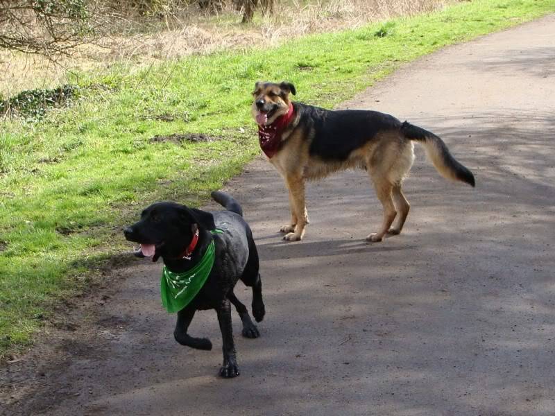 Mote Park Walk - 18 Mar 2012 - PHOTOS DSC03711