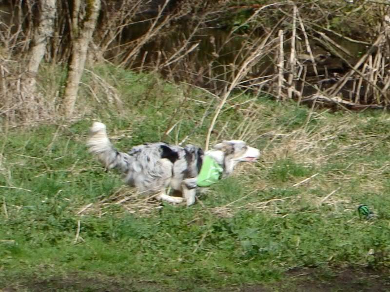 Mote Park Walk - 18 Mar 2012 - PHOTOS DSC03717