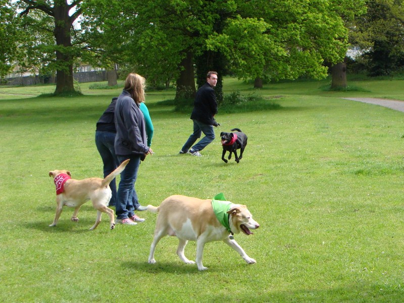 Mote Park Walk - 20 May 2012 - PHOTOS DSC05038