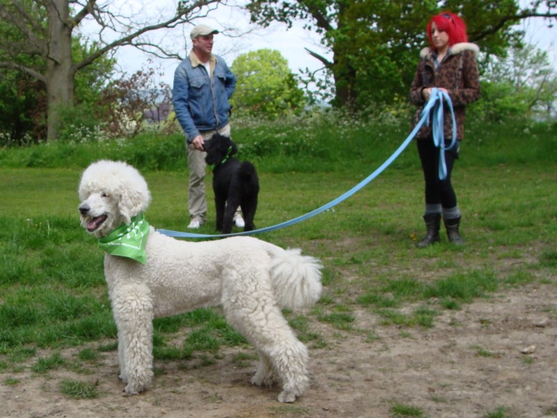 Mote Park Walk - 20 May 2012 - PHOTOS DSC05051