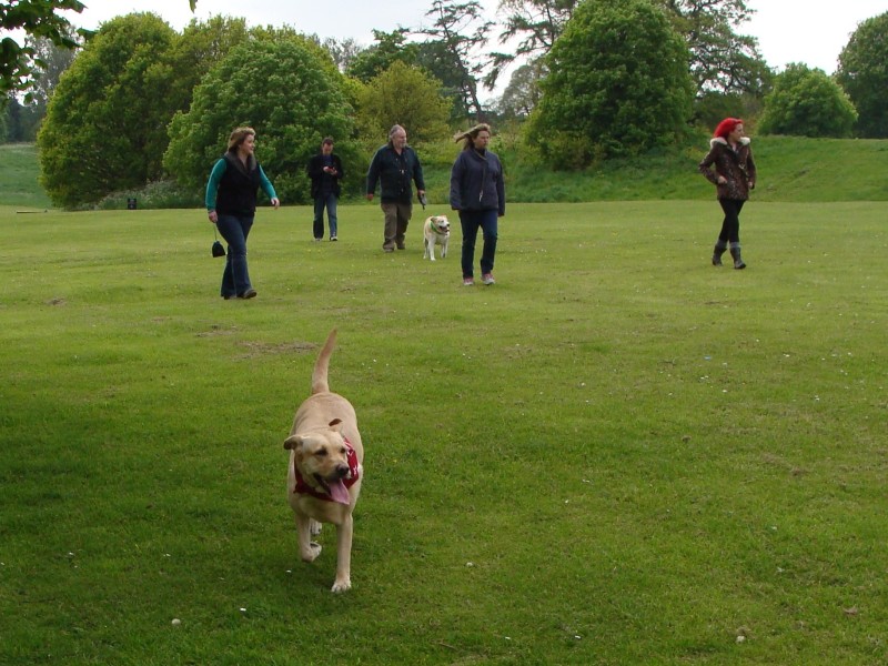 Mote Park Walk - 20 May 2012 - PHOTOS DSC05066