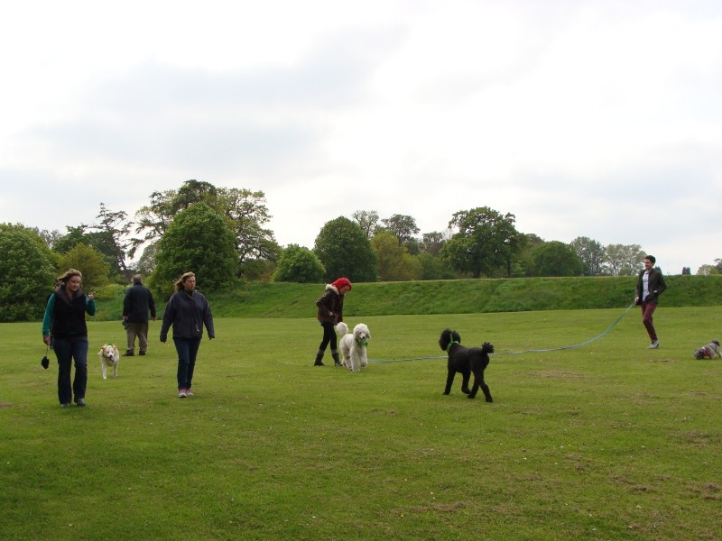 Mote Park Walk - 20 May 2012 - PHOTOS DSC05068