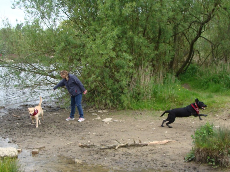 Mote Park Walk - 20 May 2012 - PHOTOS DSC05087