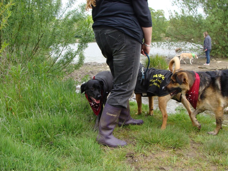 Mote Park Walk - 20 May 2012 - PHOTOS DSC05105