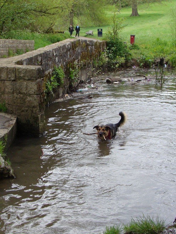 Mote Park Walk - 20 May 2012 - PHOTOS DSC05163