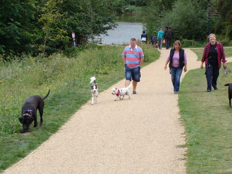 Mote Park Walk 16 Sep 2012 - PHOTOS Mote-2012-09-1660_zps68444a1c