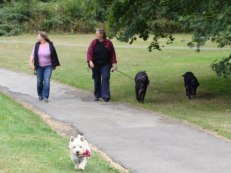 Mote Park Walk 16 Sep 2012 - PHOTOS Mote-2012-09-1665_zps9da09aa3