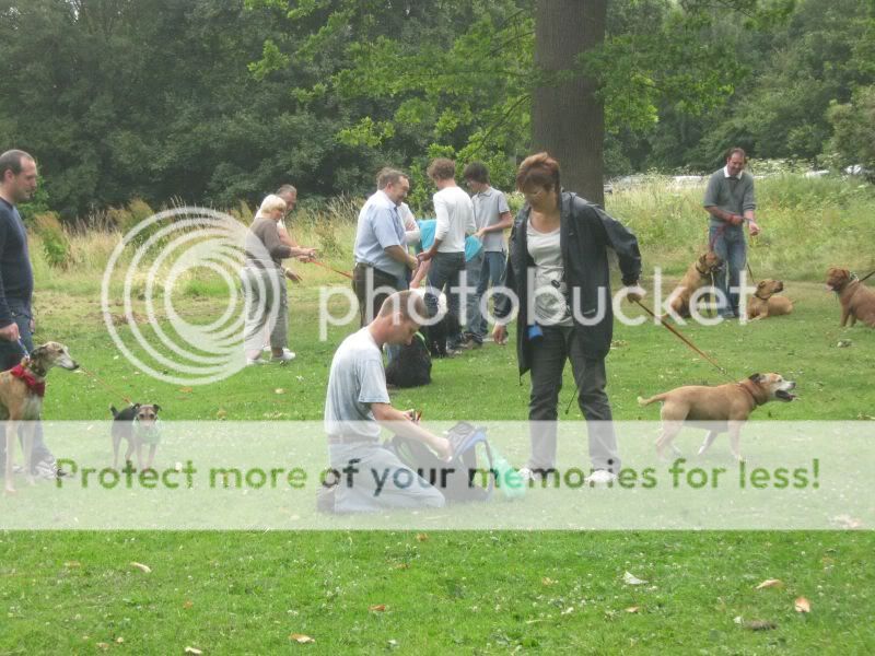 Mote Park Dog Walk - July Maidstone-2010-07-18-02