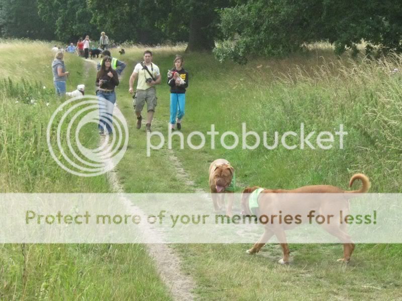 Mote Park Dog Walk - July Maidstone-2010-07-18-07