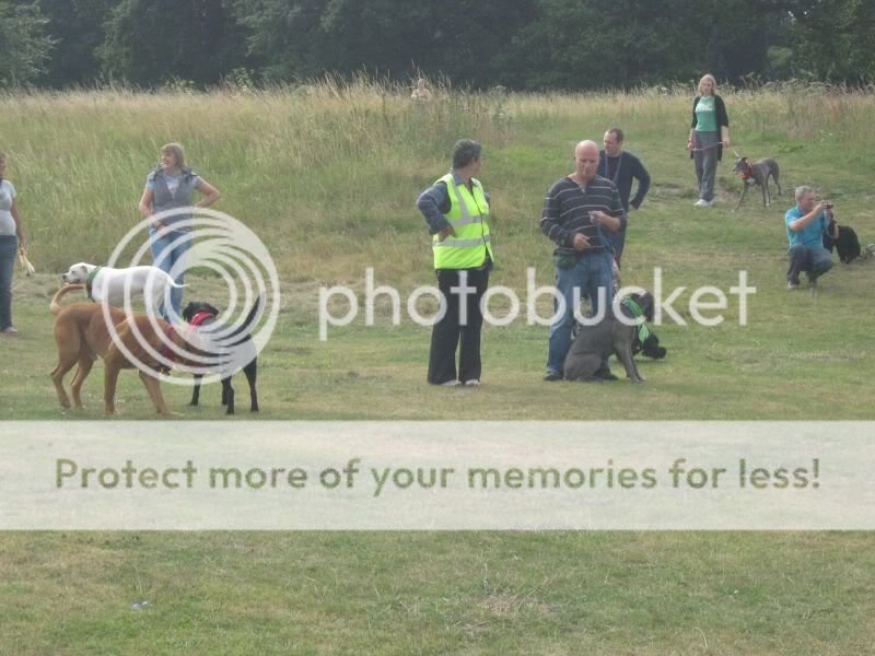 Mote Park Dog Walk - July Maidstone-2010-07-18-15