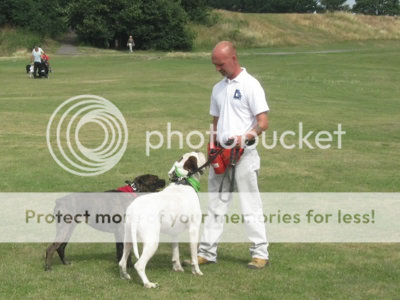 Mote Park Dog Walk - July Maidstone-2010-07-18-16